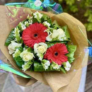 3b5d1835c77ee165a68fe1da1a335852